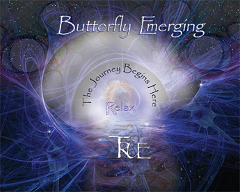 Butterfly Emerging Inside Tray Insert behind the CD
